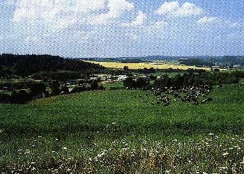 Navahradak Landscape